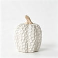 thumbnail image 1 of Elainilye Ceramic Pumpkin Set, Cream Embossed Distressed Texture, Table Centerpiece, Fall Thanksgiving Decor, Home Decoration, 1 of 6