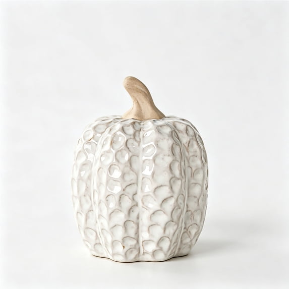 Elainilye Ceramic Pumpkin Set, Cream Embossed Distressed Texture, Table Centerpiece, Fall Thanksgiving Decor, Home Decoration