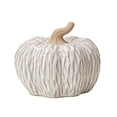 thumbnail image 1 of Elainilye Ceramic Pumpkin Set, Cream Embossed Distressed Texture, Table Centerpiece, Fall Thanksgiving Decor, Home Decoration, 1 of 6