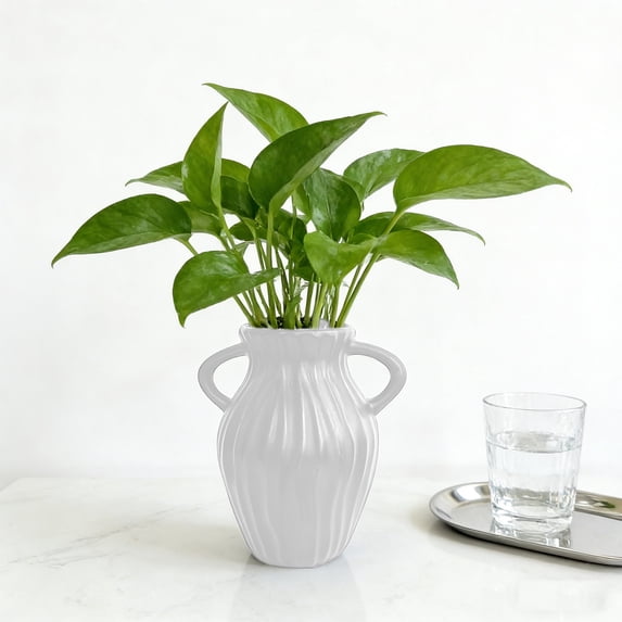 Elainilye Decorative Vase Plastic Planter for Artificial Dried Flowers and Plants Home Tabletop Decor Office Desk Shelf Display