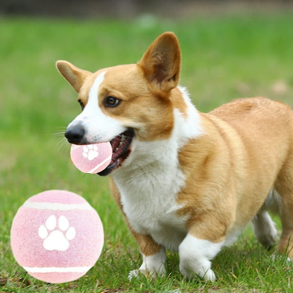 Elainilye Dog Tennis Balls, Felt Solid Elastic Dog Balls Toy for Exercise Fetch Playing, Interactive Toy for Puppy Small Medium Dogs