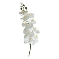 thumbnail image 1 of Elainilye Fake Orchid, Realistic Phalaenopsis Silk Flower 9 Stems Artificial Plant for Living Room Table Centerpiece Wedding Home Luxury Decor​​, White, 1 of 6