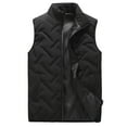 thumbnail image 1 of Elainilye Fashion Vest Solid Stand Collar Sleeveless Cardigan Jacket Outerwear Padded Coat, 1 of 9