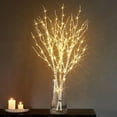 thumbnail image 1 of Elainilye LED Branch Light 50 LED 80cm Birch Tree Branch Lamp for Home Decor Warm White Light Battery Operated Batteries Not Included Room Atmosphere, 1 of 6