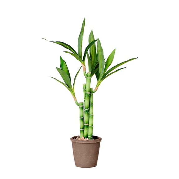 Elainilye Lucky Bamboo, Artificial Green Plants, Simulation Potted, For Home Office Hotel Lobby Decor, 17.7In