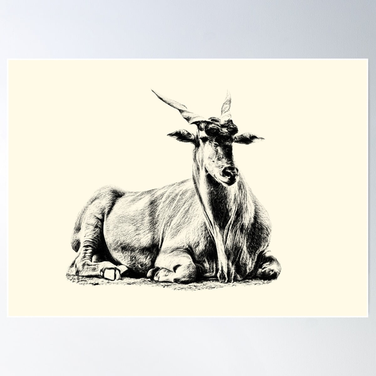 Eland Antelope Poster Wall Art, Modern Wall Decor For Living Room