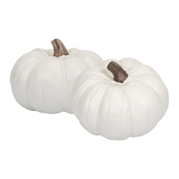 Elanze Designs Classic White 6 inch Resin Harvest Decorative Pumpkins Pack of 2