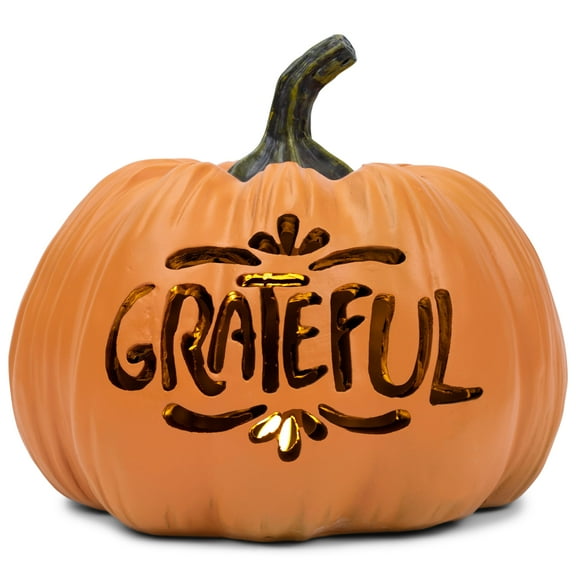 Elanze Designs Grateful Orange 8 inch Resin Stone Light Up Harvest Pumpkin