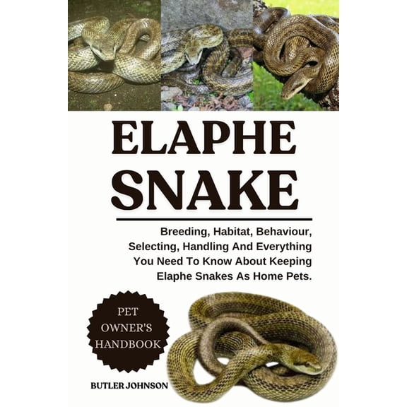Elaphe Snake: Breeding, Habitat, Behaviour, Selecting, Handling And Everything You Need To Know About Keeping Elaphe Sna, (Paperback)