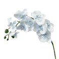 thumbnail image 1 of Elapind Orchid Stems Artificial Flowers Real Touch Plastic Faux Phalaenopsis Branches 9 Head Large Blooms 27.17Inch 1Pcs White,Light Blue, 1 of 5