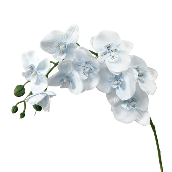 Elapind Orchid Stems Artificial Flowers Real Touch Plastic Faux Phalaenopsis Branches 9 Head Large Blooms 27.17Inch 1Pcs White,Light Blue