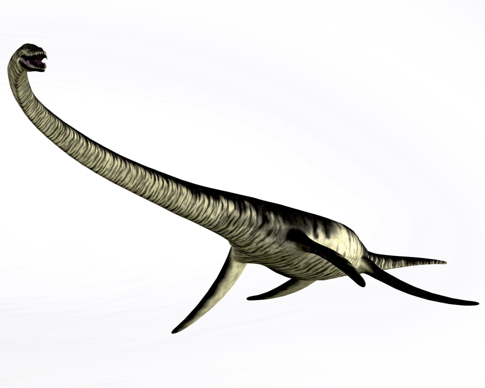 Elasmosaurus marine reptile from the Cretaceous Period Canvas Art - Corey FordStocktrek Images (32 x 26)