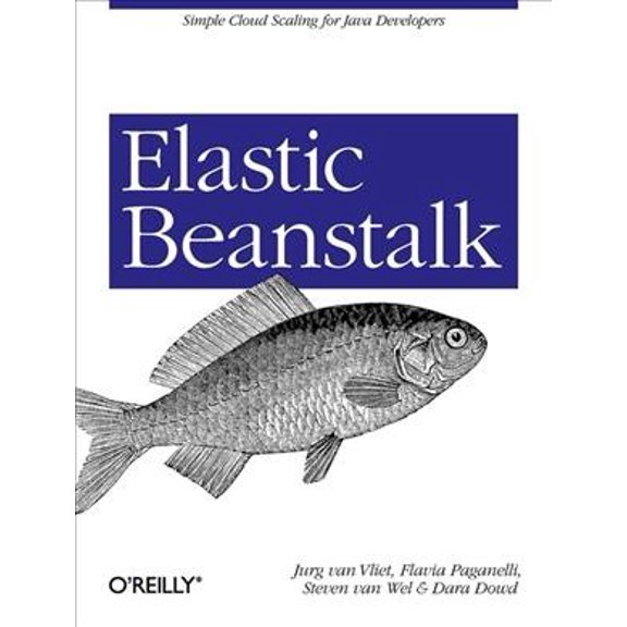 Elastic Beanstalk: Simple Cloud Scaling for Java Developers (Paperback)