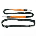 thumbnail image 1 of Elastic Dog Leash Hands Free Reflective - Black Orange, 1 of 5