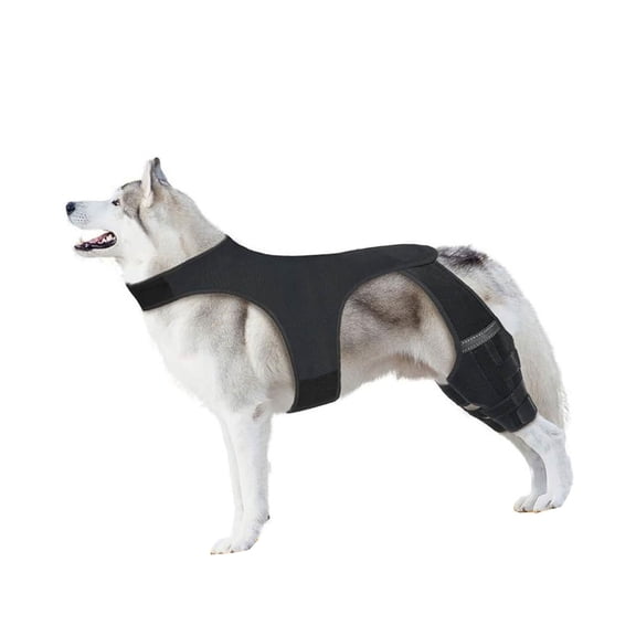 Elastic Dog Leg Brace Wrap Efficient Joint Protective Sleeve For Elderly Injured Canine Back Leg Supportive