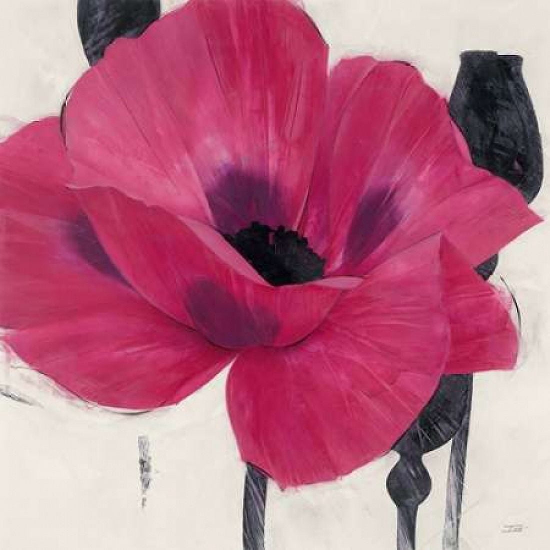 Elated Poppy Canvas Art - Ivo Stoyanov (24 x 24)