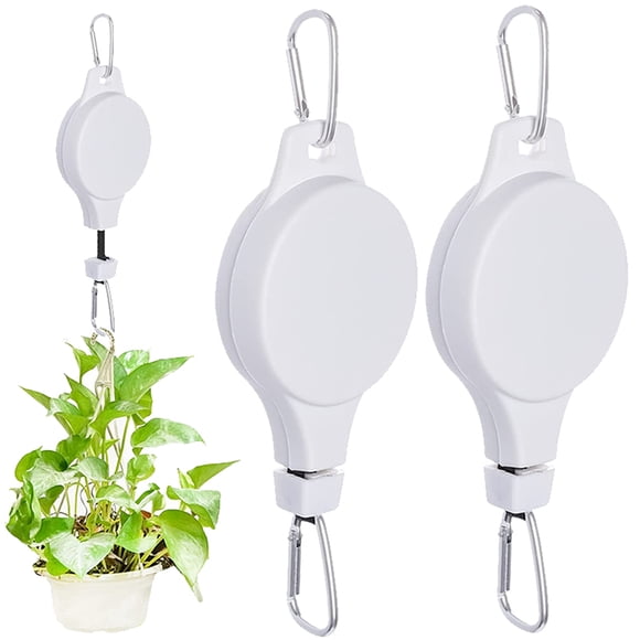 Image showcasing Bird Feeder Pulley System