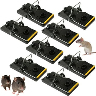 https://i5.walmartimages.com/seo/Elbourn-8-Pack-Mouse-Traps-Small-Mice-Traps-Indoor-for-House-Quick-Effective-Sanitary-Safe-Mousetrap-Catcher-for-Family-and-Pet_17e29935-6434-4a09-8dc4-2e8544add8b9.4d13b70453aba51ea285f0c79e157bc0.jpeg?odnHeight=320&odnWidth=320&odnBg=FFFFFF
