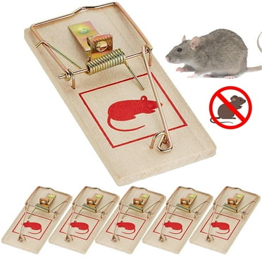Elbourn Indoor Wooden Mouse Traps, Classic Mice Rat Rodent Catch Trap - 6 Pack
