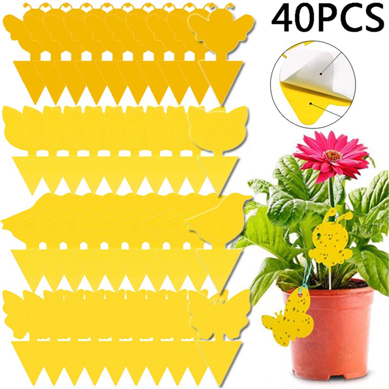 40PCS Strong Sticky Traps Insect Killer Plant Bug Fruit Fly Gnat