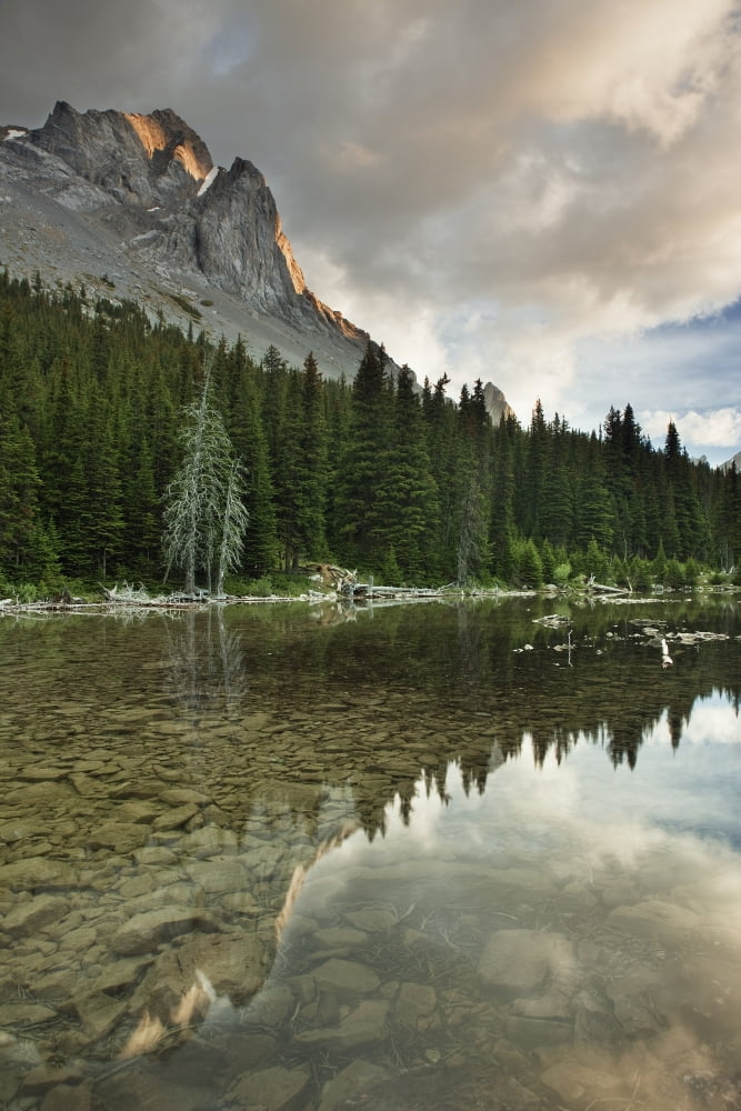 Elbow Lake Kananaskis Country Alberta Canvas Art - Darwin Wiggett Design Pics (11 x 17)
