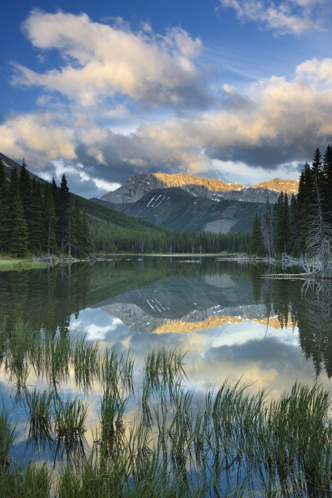 Elbow Lake Kananaskis Country Alberta Canvas Art - Darwin Wiggett Design Pics (22 x 34)