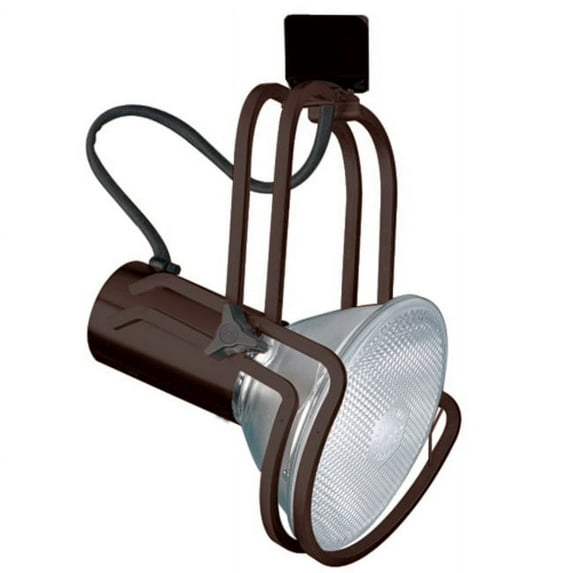 Elco Et654 150W Line Voltage Par38 Wireform Fixture - Bronze