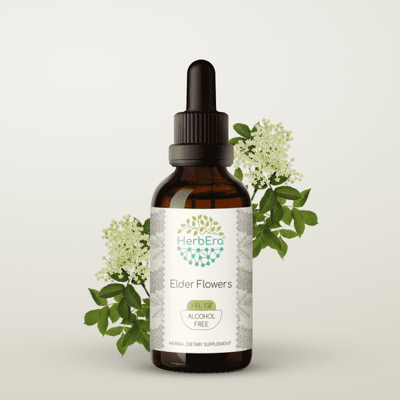 HerbEra Elder Flowers Tincture, Herbal Dietary Supplement for Natural Detox Support, Elder Flowers (Sambucus nigra) Dried Flowers Extract, Natural, Alcohol-Free, Drops 2 oz