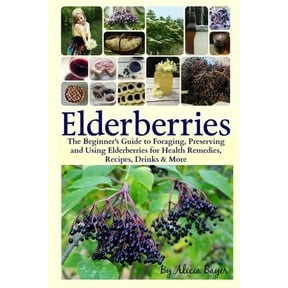 Elderberries: The Beginner's Guide to Foraging, Preserving and Using Elderberries for Health Remedies, Recipes, Drinks &, (Paperback)