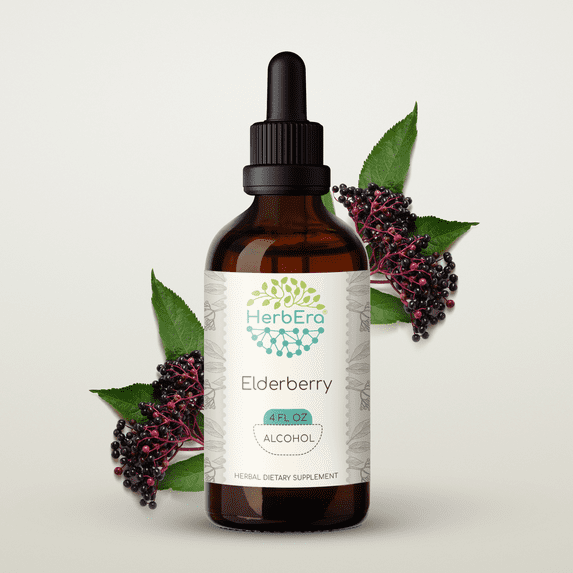Elderberry Alcohol Herbal Extract Tincture, Super-Concentrated Organic Elderberry (Sambucus Nigra) Dried Berry 4 oz