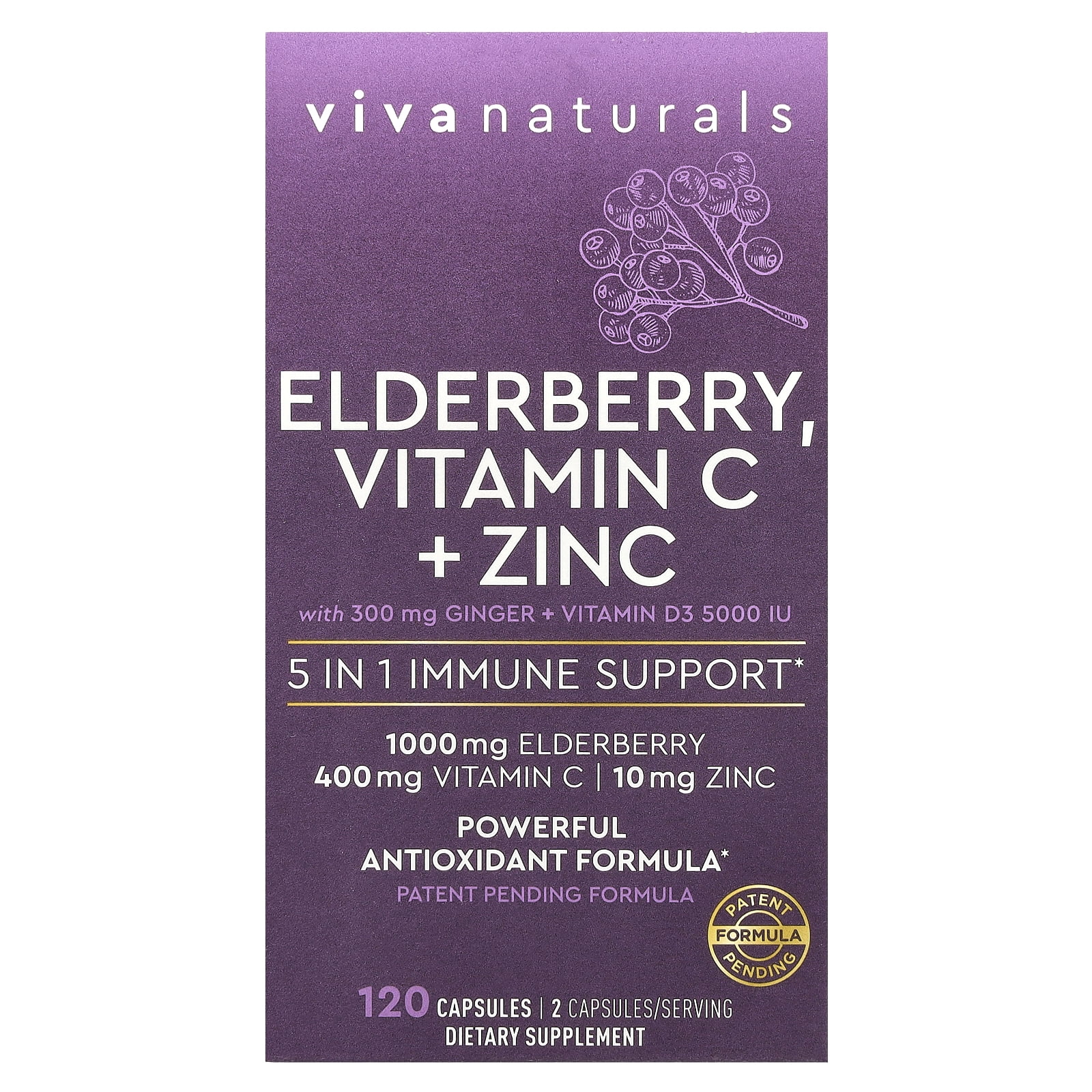 Elderberry, Vitamin C + Zinc, 5 in 1 Immune Support, 120 Capsules, Viva Naturals