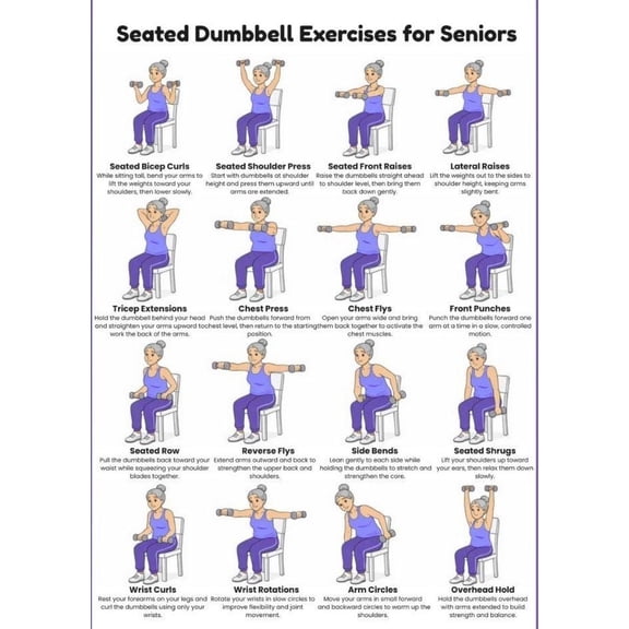 Elderly Sitting Dumbbell Practice Poster, Low Impact Dumbbell Regular Poster, Home Dumbbell Practice Poster, Home Fitness Regular Poster