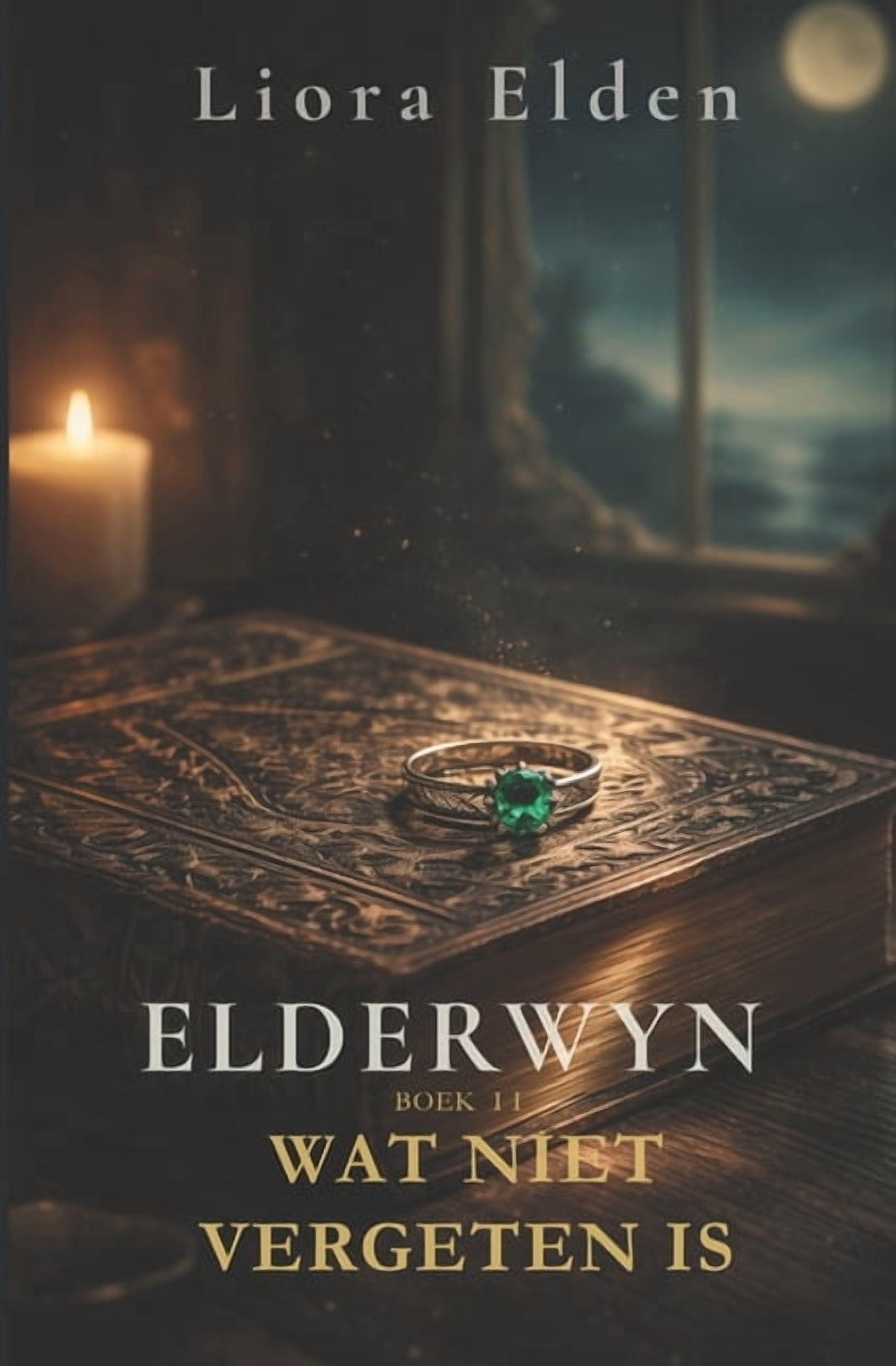 Elderwyn Elderwyn: Boek 2 - Wat niet vergeten is, Book 2, (Paperback)
