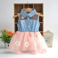 thumbnail image 1 of Eleanos Child Baby Girl Sleeveless Floral Lace Denim Shirt Floral Net Yarn Princess Tutu Skirt, 1 of 2