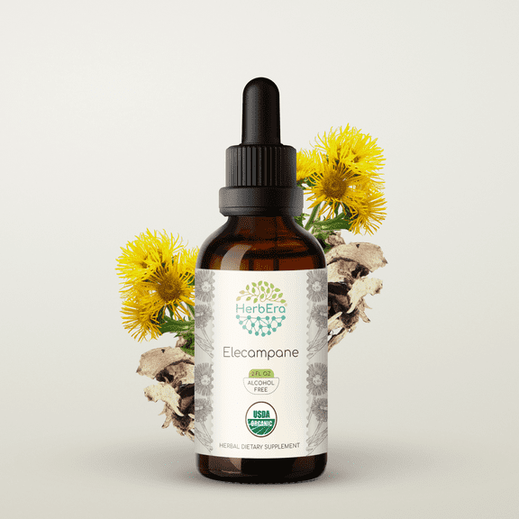 HerbEra Elecampane Tincture, Organic Herbal Dietary Supplement for Respiratory Support, Certified Organic Elecampane (Inula helenium) Dried Root Extract, Natural, Alcohol-Free, Drops 2 oz