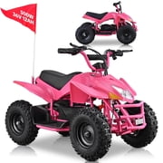IVFJFV Electric 4 Wheeler with Dual Speed 10-15MPH, 12AH Battery,36V High Power Off-Road Four Wheeler with 500W Motor,Front & Rear Shock Absorbers, Disc Brake, LED Headlight, Safety Flag,Pink