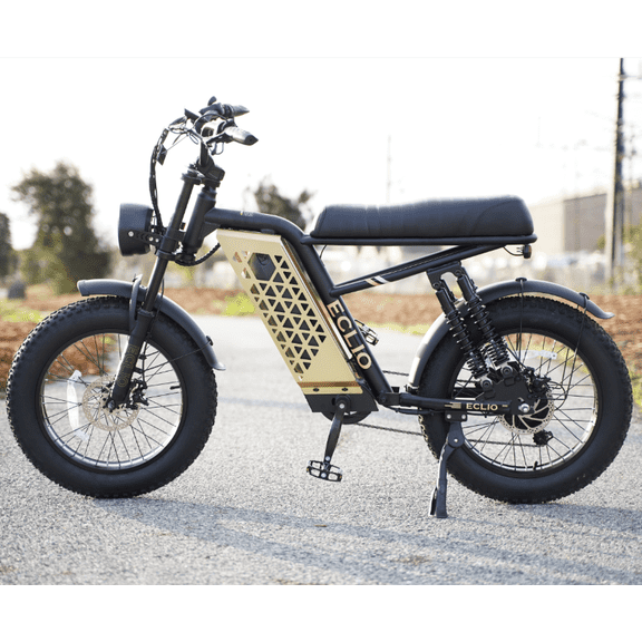 Electric Bike for Adults, 1000W Peak Motor 20MPH, 48V 13Ah Battery 40-65Miles Ebike Moped Style, 20*4.0'' Fat Tire Electric Dirt Bike, Off Road Electric Bicycle with Full Suspensio