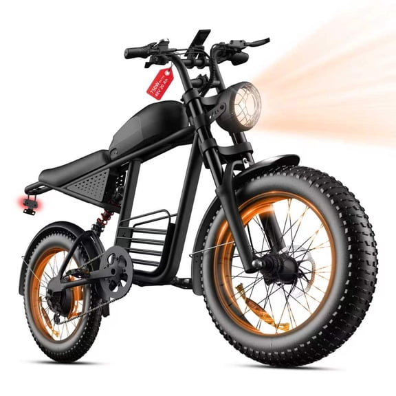 Electric Bike for Adults, 750W Motor,Max 28MPH ,60Mile, 20"x4" Fat Tire, E Mountain Bike, 48V/20AH Battery,UL2849,Fit for 18+