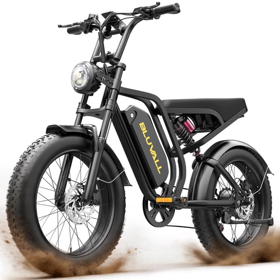 750W 48V 20Ah Electric Bike for Adults,20"x4" Fat Tire E-Mountain Bike,7-Speed Shimano Gears,3 Riding Modes,353lbs,Black