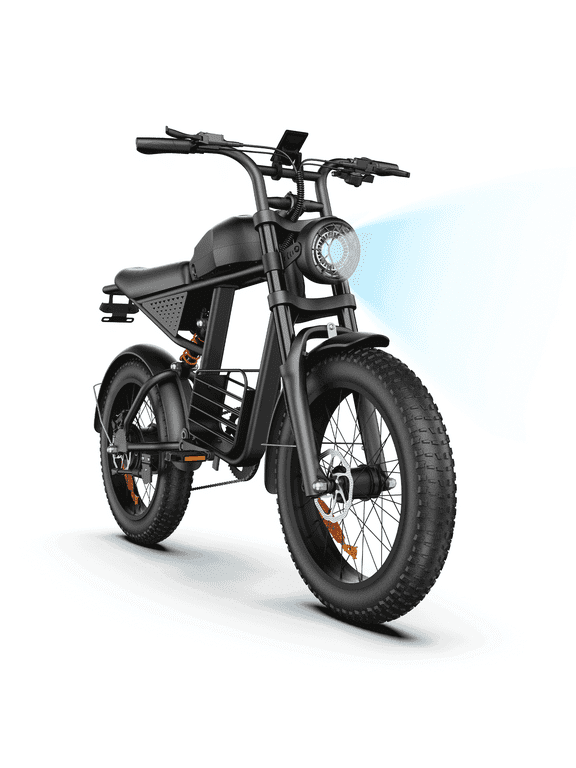 20" Fat Tire Electric Bike for Adults, Class 2 E-Bike, 750W Motor (Peak 1000W), 48V 15.6Ah Battery