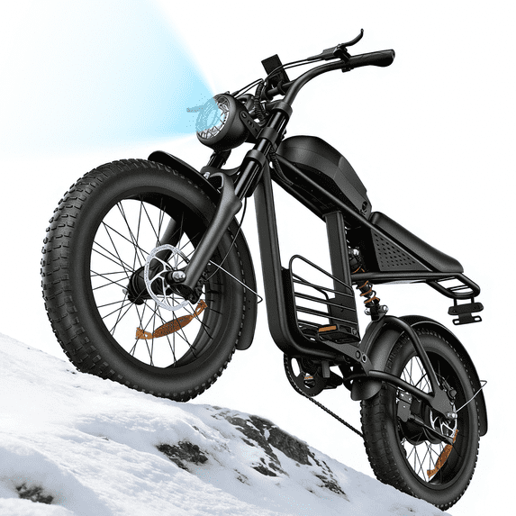 Electric Bike for Adults, 750W Motor, 20"x4" Fat Tire E Bike, 48V/20AH UL2849