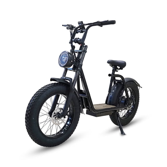 Electric Bike for Adults 20 inch Fat Tire 750W Motor 48V 10.4AH for City and Mountain Use