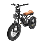 Electric Bike for Adults, 750 W Motor, 20 inch Fat Tire All-Terrain Electric Motorcycle