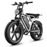 Electric Bike for Adults, 750W Peak 1500W Motor, 20"x4" Fat Tire E Bicycle, Mechanical Disc Brakes, E Mountain Bike, 48V/15AH UL2849, App Control