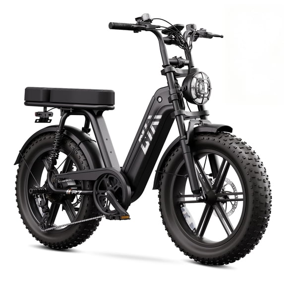 Electric Bike for Adults (Age 18+),749W Motor, 48V 15Ah Battery, 20"x4.0 Fat Tire E-Mountain Bike, 27.9 MPH, 60 Miles Range, UL2849