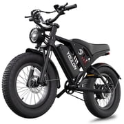 Electric Bike for Adults/Teens, 750W 28MPH, 20" Fat Tire, 48V 15.6Ah Equipped Speedometer, Full Suspension E-Mountain Bike UL2849