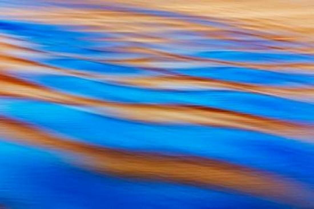 Electric Blue II Canvas Art - Kathy Mahan (24 x 36)