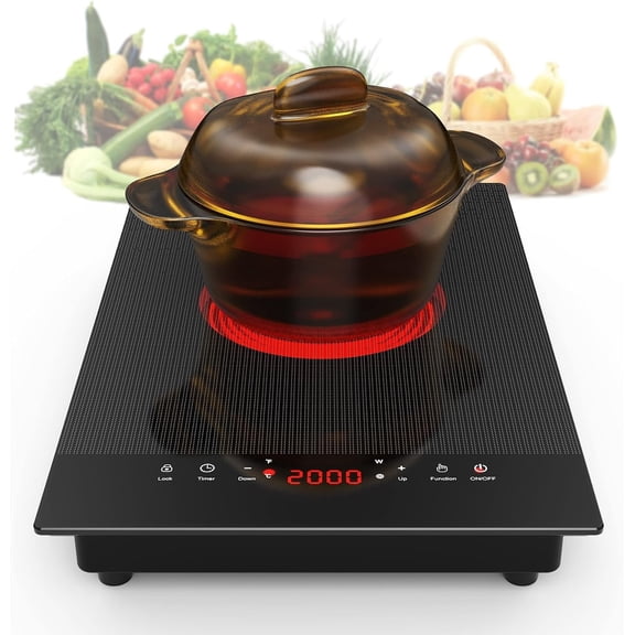 Electric Cooktop,110V Electric Stove Top,Single Burner Electric Cooktop LED Control,9 Power Levels, Lock &Timer,Overheat Protection,2000W Portable Burner
