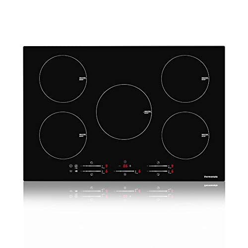 Electric Cooktop, thermomate 30 Inch Builtin Induction Stove Top, 240V