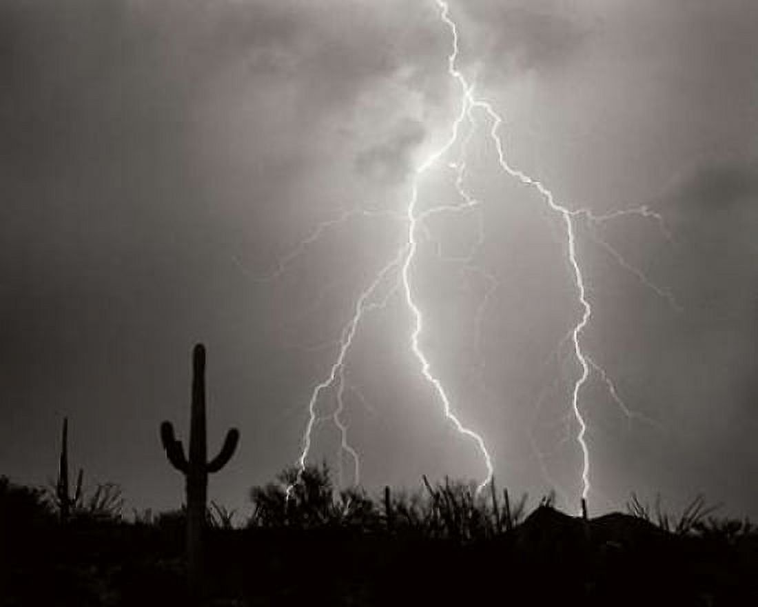 Electric Desert I - BW Canvas Art - Douglas Taylor (24 x 30)